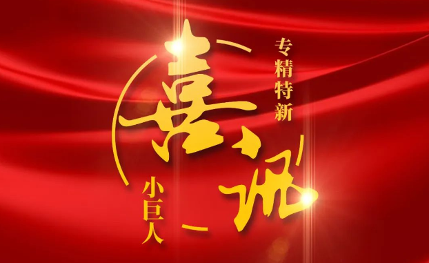 喜讯 | 捷报频传！欢迎来到公海7108156医疗获评国家级专精特新“小巨人”企业公示